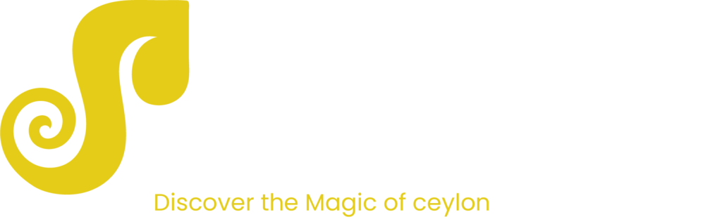 Amazylon logo