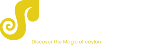 Amazylon logo